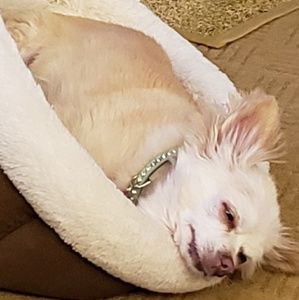 Meet your Posher, Sheila